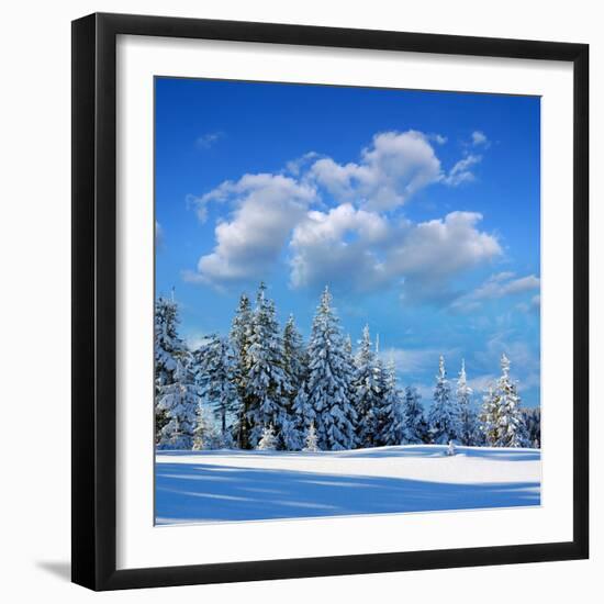 Winter Landscape with Snow in Mountains Carpathians, Ukraine-Kotenko-Framed Photographic Print