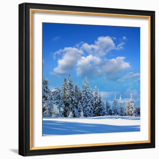 Winter Landscape with Snow in Mountains Carpathians, Ukraine-Kotenko-Framed Photographic Print