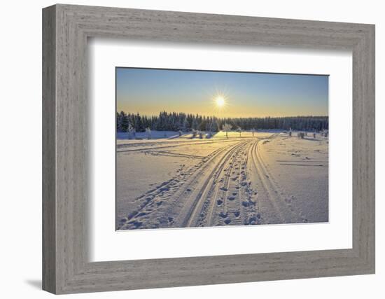 Winter landscape with snowmobile trail, Schneeekopf, Gehlberg, Thuringia, Germany-Raimund Linke-Framed Photographic Print