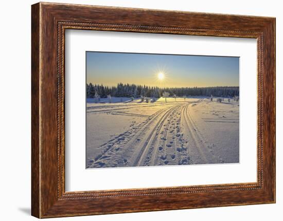 Winter landscape with snowmobile trail, Schneeekopf, Gehlberg, Thuringia, Germany-Raimund Linke-Framed Photographic Print