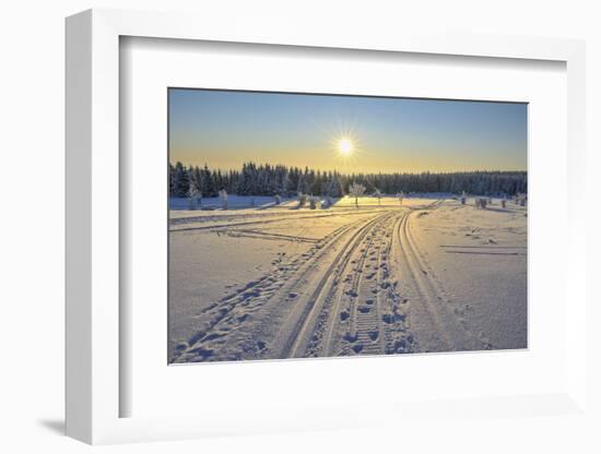 Winter landscape with snowmobile trail, Schneeekopf, Gehlberg, Thuringia, Germany-Raimund Linke-Framed Photographic Print