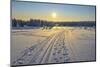 Winter landscape with snowmobile trail, Schneeekopf, Gehlberg, Thuringia, Germany-Raimund Linke-Mounted Photographic Print