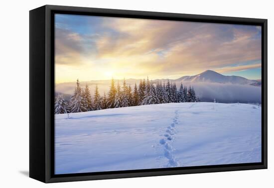 Winter Landscape with Sunrise in the Mountains, Path in the Snow, Carpathians, Ukraine, Europe-Kotenko-Framed Premier Image Canvas