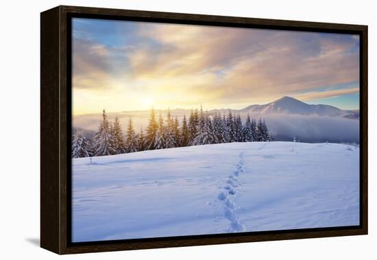 Winter Landscape with Sunrise in the Mountains, Path in the Snow, Carpathians, Ukraine, Europe-Kotenko-Framed Premier Image Canvas