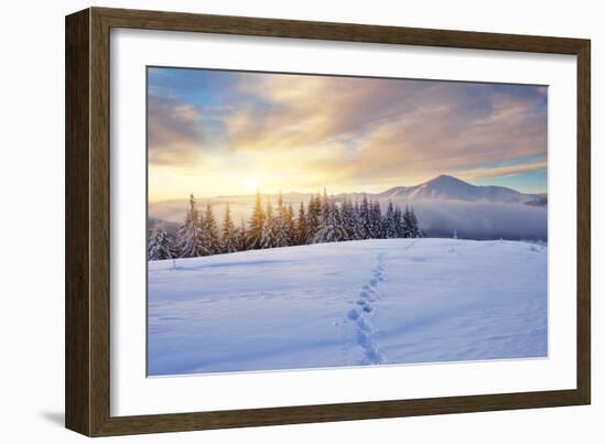 Winter Landscape with Sunrise in the Mountains, Path in the Snow, Carpathians, Ukraine, Europe-Kotenko-Framed Photographic Print