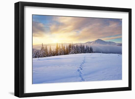 Winter Landscape with Sunrise in the Mountains, Path in the Snow, Carpathians, Ukraine, Europe-Kotenko-Framed Photographic Print