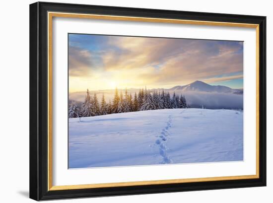 Winter Landscape with Sunrise in the Mountains, Path in the Snow, Carpathians, Ukraine, Europe-Kotenko-Framed Photographic Print