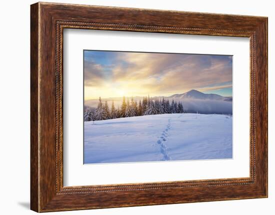 Winter Landscape with Sunrise in the Mountains, Path in the Snow, Carpathians, Ukraine, Europe-Kotenko-Framed Photographic Print