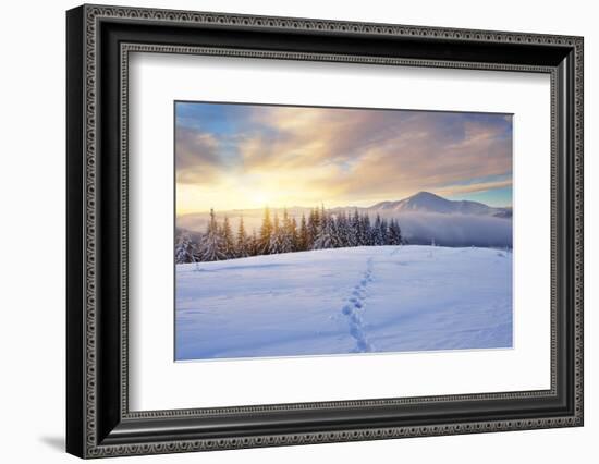 Winter Landscape with Sunrise in the Mountains, Path in the Snow, Carpathians, Ukraine, Europe-Kotenko-Framed Photographic Print