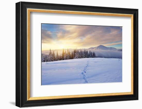 Winter Landscape with Sunrise in the Mountains, Path in the Snow, Carpathians, Ukraine, Europe-Kotenko-Framed Photographic Print