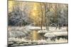 Winter Landscape With The Wood River-balaikin2009-Mounted Art Print