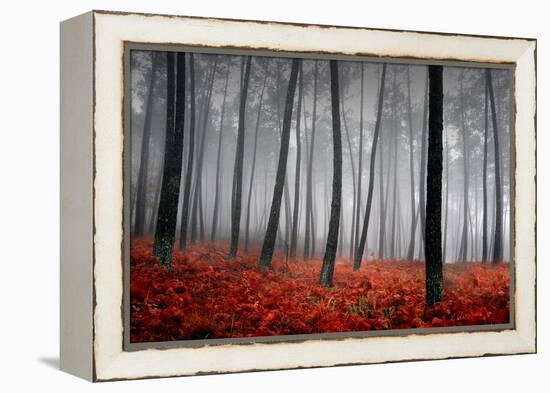 Winter Landscape-jpcasais-Framed Premier Image Canvas