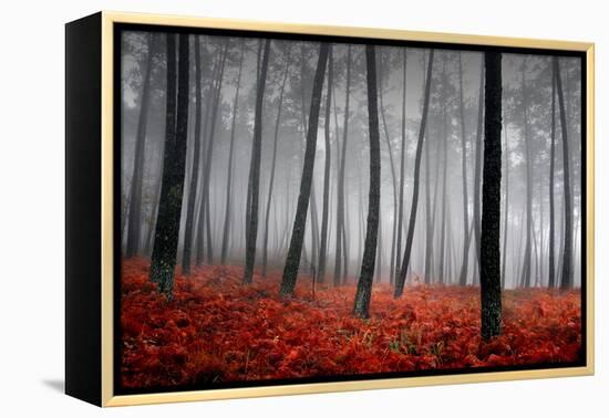 Winter Landscape-jpcasais-Framed Premier Image Canvas