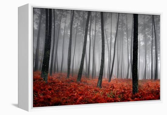 Winter Landscape-jpcasais-Framed Premier Image Canvas