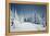 Winter Landscape-Kotenko-Framed Premier Image Canvas