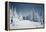 Winter Landscape-Kotenko-Framed Premier Image Canvas