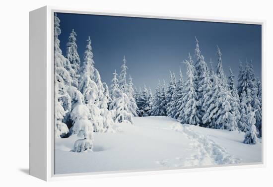 Winter Landscape-Kotenko-Framed Premier Image Canvas