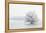 Winter Landscape-geanina bechea-Framed Premier Image Canvas