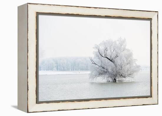 Winter Landscape-geanina bechea-Framed Premier Image Canvas