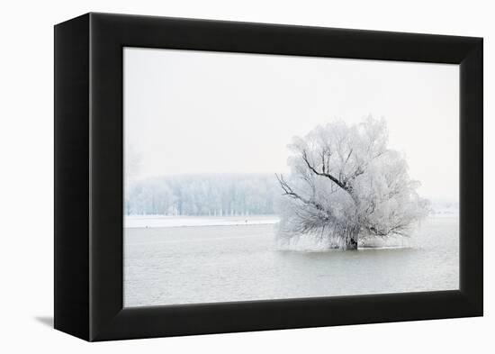 Winter Landscape-geanina bechea-Framed Premier Image Canvas