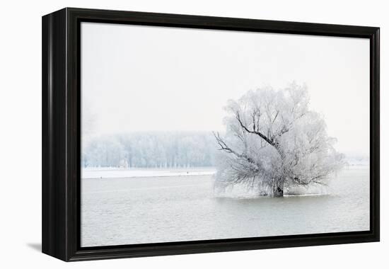 Winter Landscape-geanina bechea-Framed Premier Image Canvas