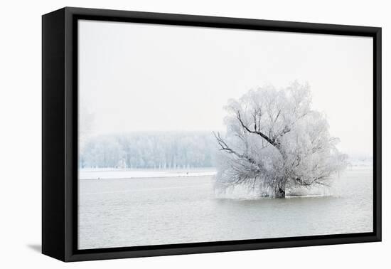 Winter Landscape-geanina bechea-Framed Premier Image Canvas