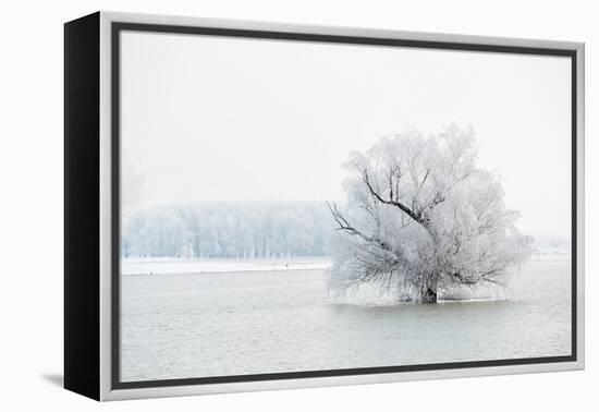 Winter Landscape-geanina bechea-Framed Premier Image Canvas