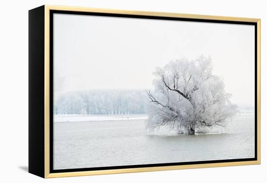 Winter Landscape-geanina bechea-Framed Premier Image Canvas