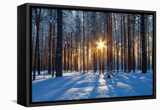 Winter Landscape-Yanika-Framed Premier Image Canvas