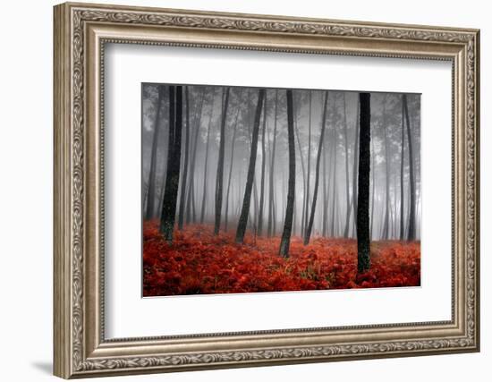 Winter Landscape-jpcasais-Framed Photographic Print