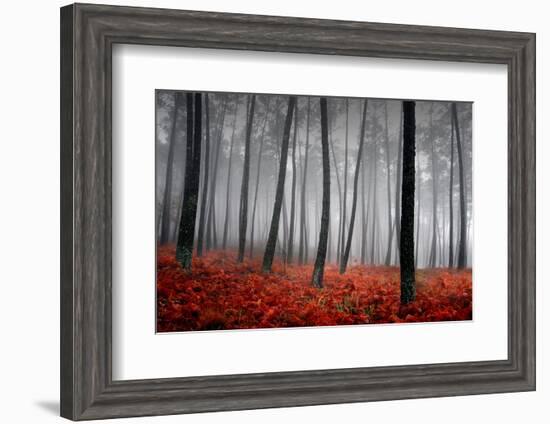 Winter Landscape-jpcasais-Framed Photographic Print