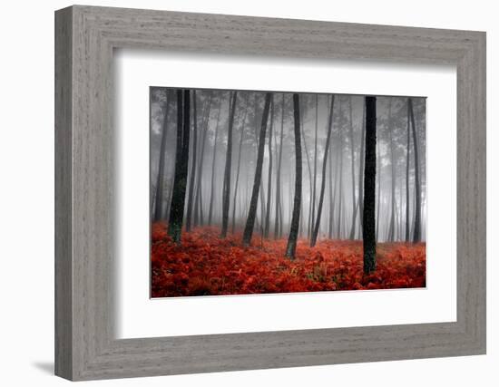 Winter Landscape-jpcasais-Framed Photographic Print