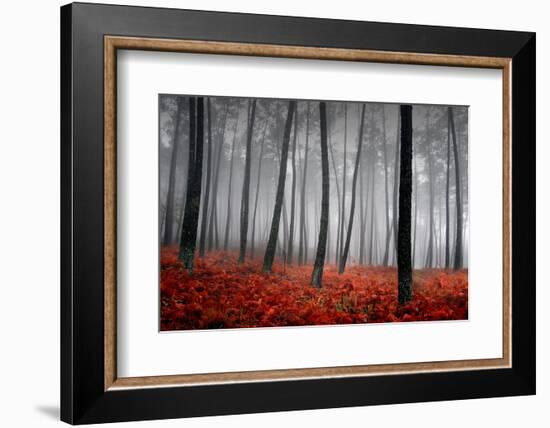 Winter Landscape-jpcasais-Framed Photographic Print