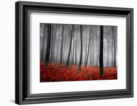 Winter Landscape-jpcasais-Framed Photographic Print