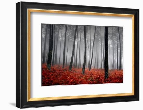 Winter Landscape-jpcasais-Framed Photographic Print