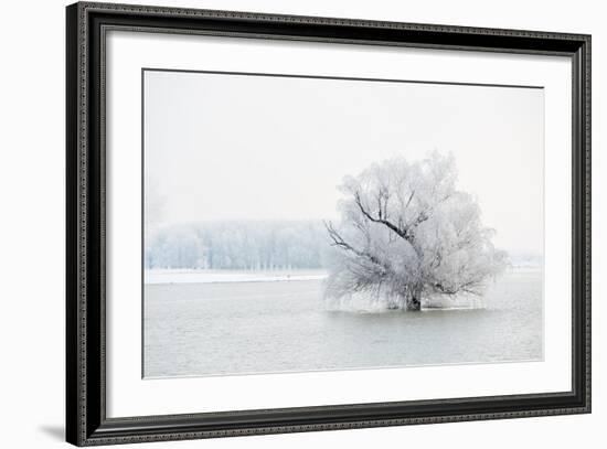 Winter Landscape-geanina bechea-Framed Photographic Print