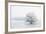 Winter Landscape-geanina bechea-Framed Photographic Print