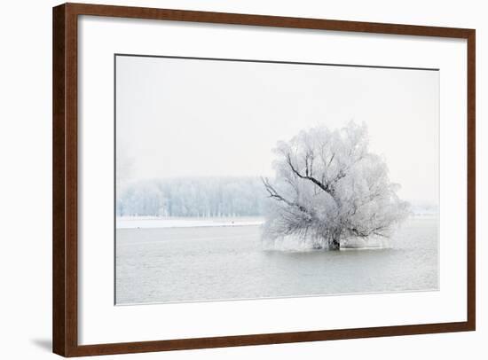 Winter Landscape-geanina bechea-Framed Photographic Print