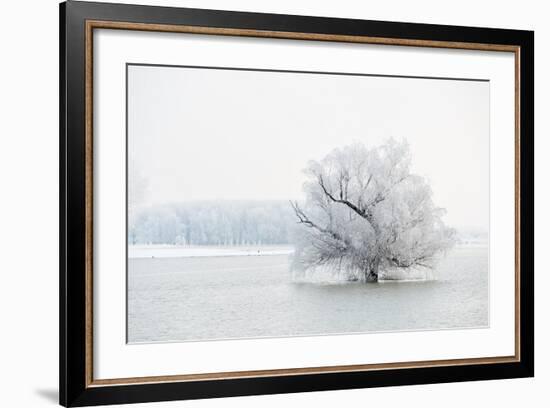 Winter Landscape-geanina bechea-Framed Photographic Print