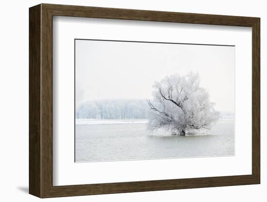 Winter Landscape-geanina bechea-Framed Photographic Print