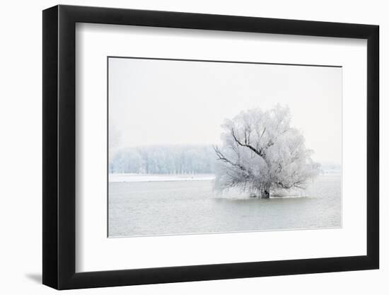 Winter Landscape-geanina bechea-Framed Photographic Print