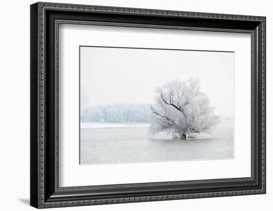 Winter Landscape-geanina bechea-Framed Photographic Print