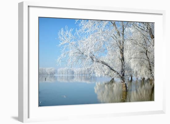 Winter Landscape-geanina bechea-Framed Photographic Print