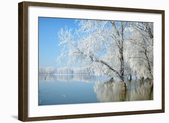 Winter Landscape-geanina bechea-Framed Photographic Print