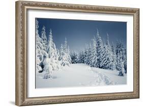 Winter Landscape-Kotenko-Framed Photographic Print