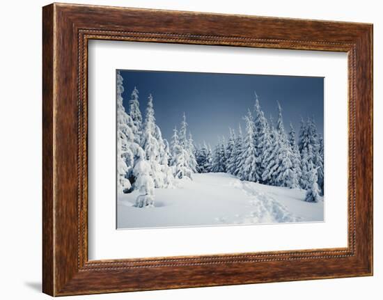 Winter Landscape-Kotenko-Framed Photographic Print