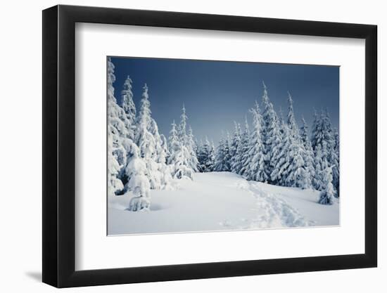 Winter Landscape-Kotenko-Framed Photographic Print