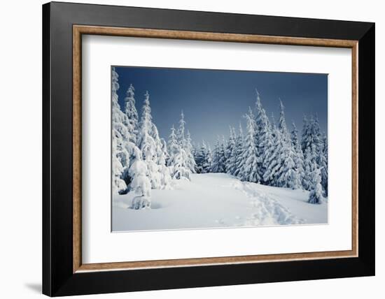 Winter Landscape-Kotenko-Framed Photographic Print