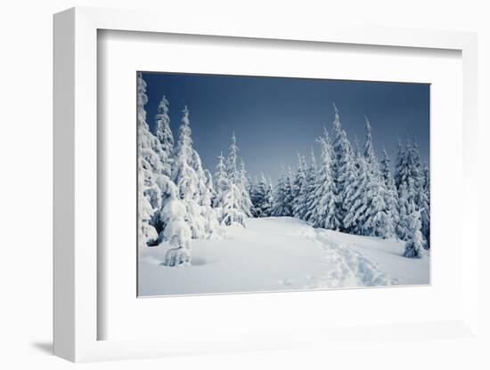 Winter Landscape-Kotenko-Framed Photographic Print