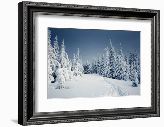 Winter Landscape-Kotenko-Framed Photographic Print